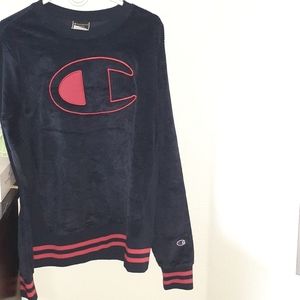 Champion Sweater